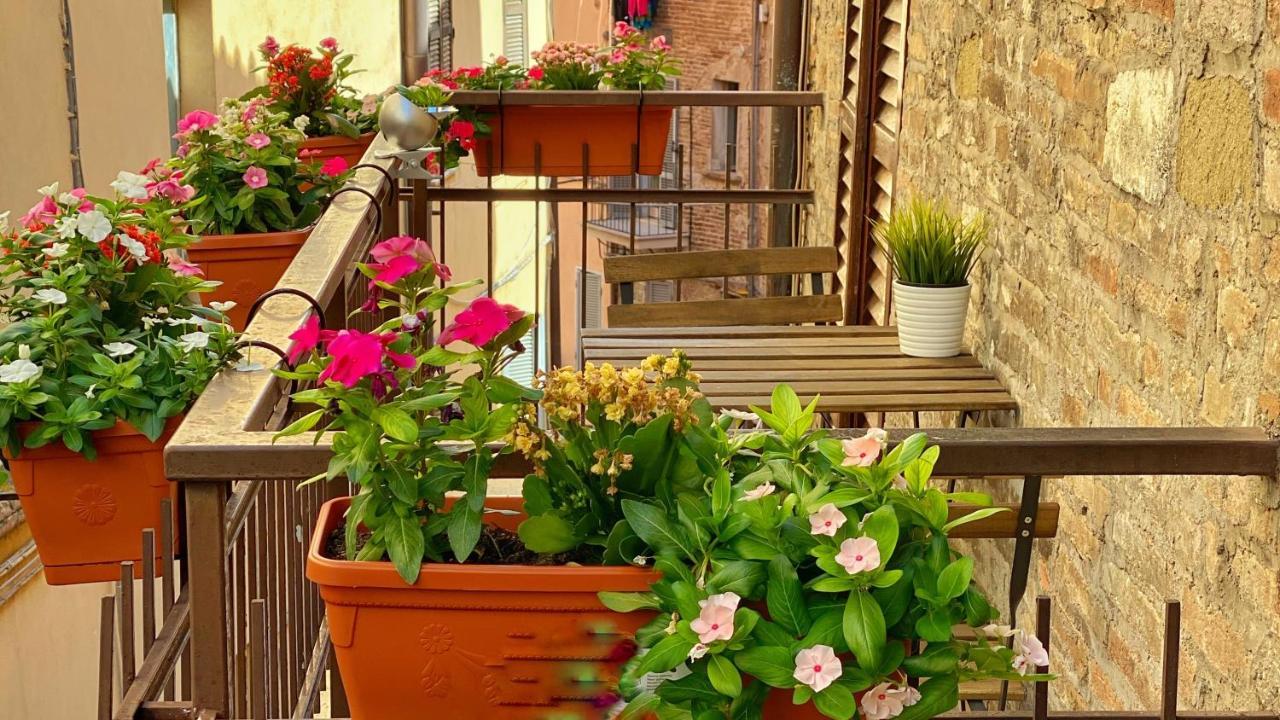 Hotel S. Ercolano Pérouse Extérieur photo